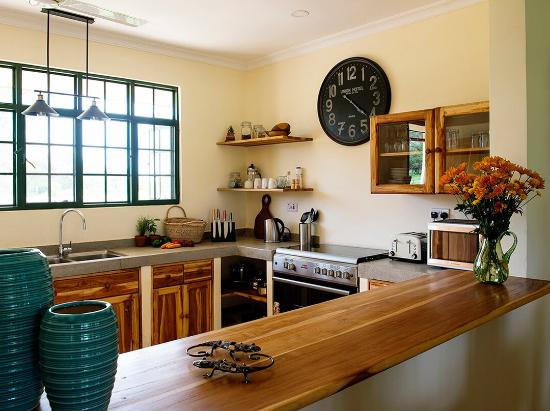 The Green Side主图