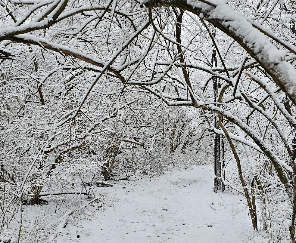 Crains Run Nature Park