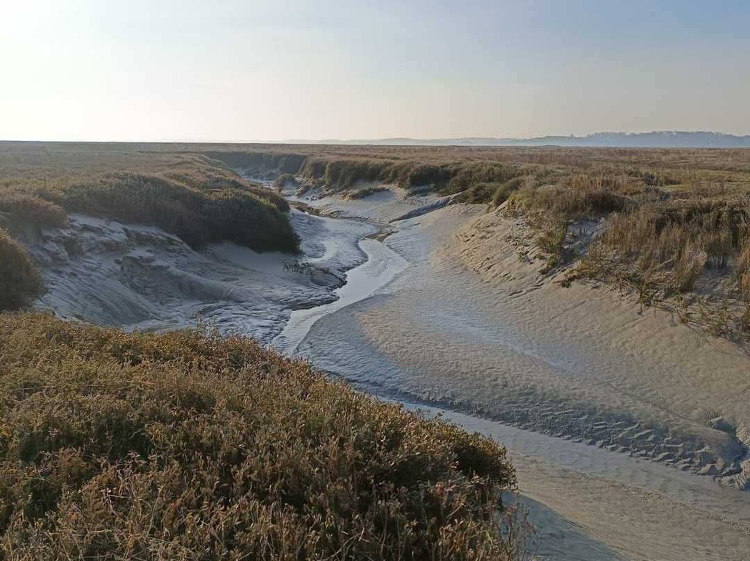 Decouvrons la Baie de Somme Day Tours景点图片