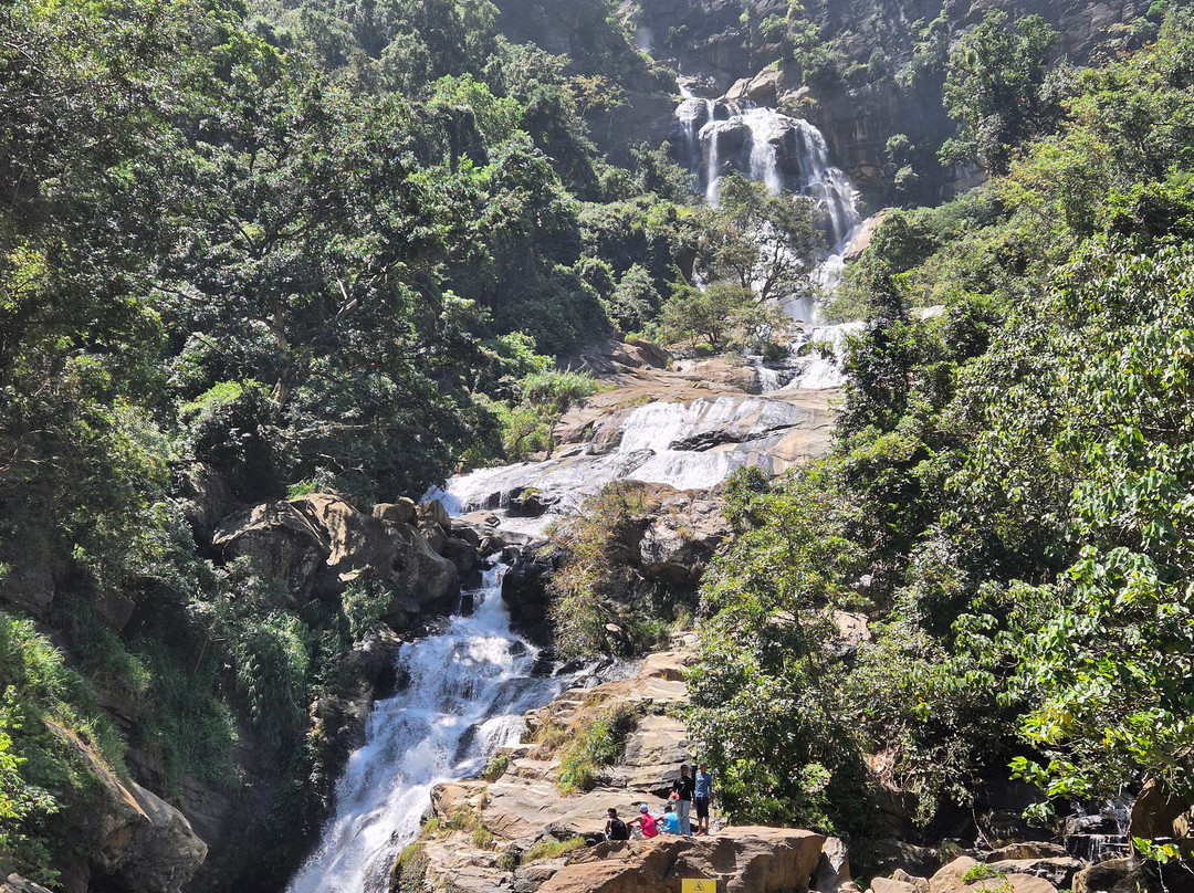 Amara Lanka Tours & Travels景点图片