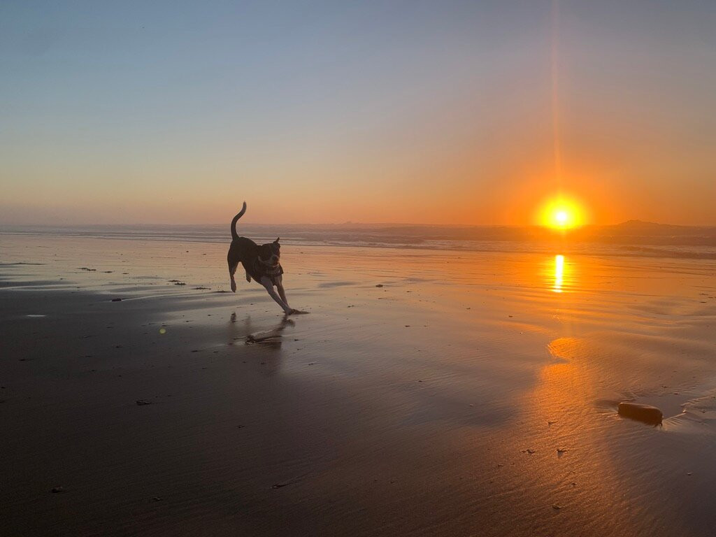 Hug Point State Park-坎农比奇必去景点