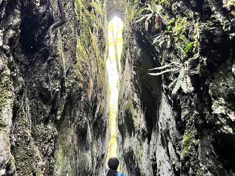 Mt Crichton Loop Track-皇后镇必去景点