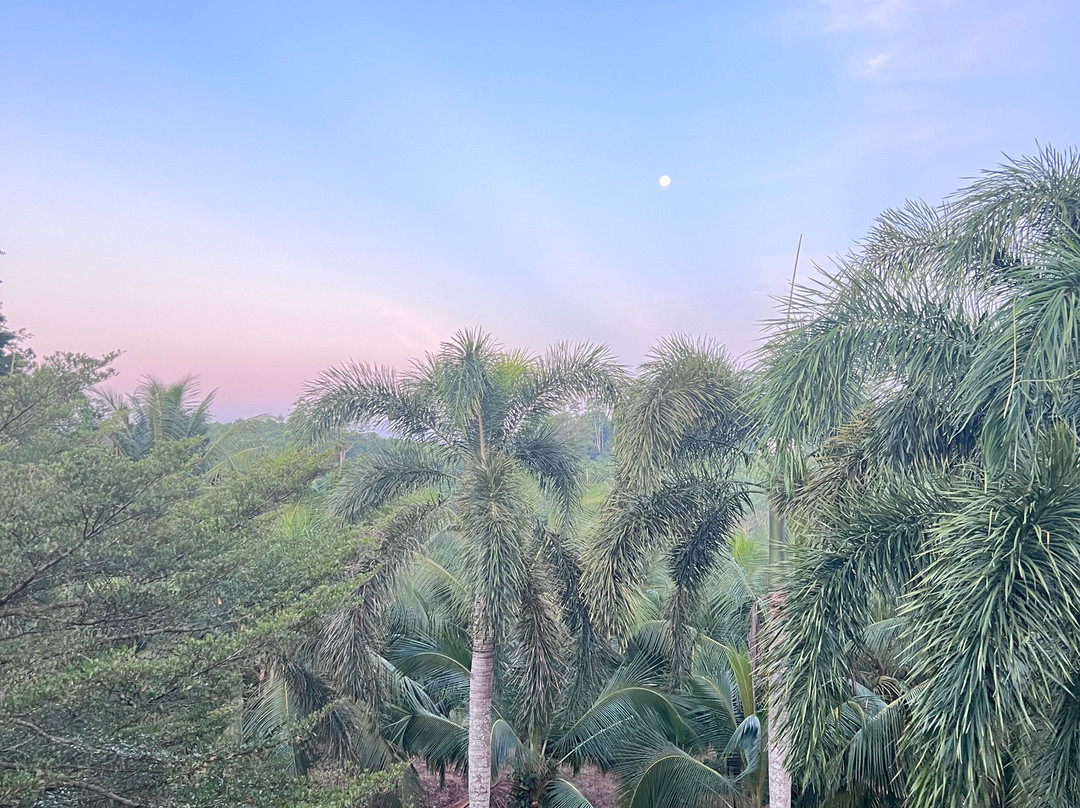Yoga in Niyagama House-加勒必去景点