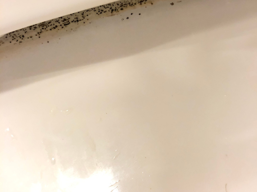 Hotel Jardines De Uleta Suites主图