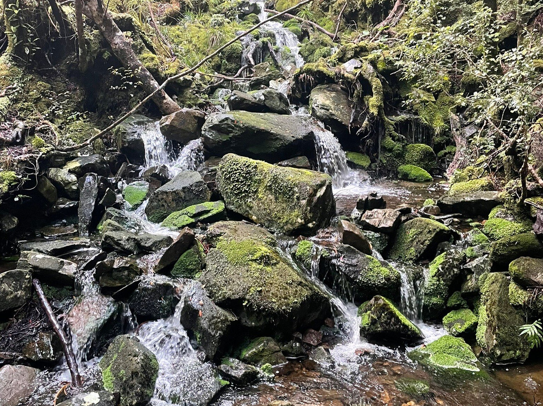 Heaphy Track景点图片