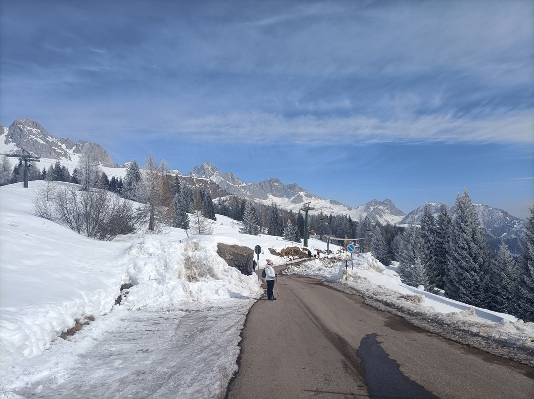 Dal Passo All'alpe Di Fuciade, Inseguendo I Sapori Ladini.