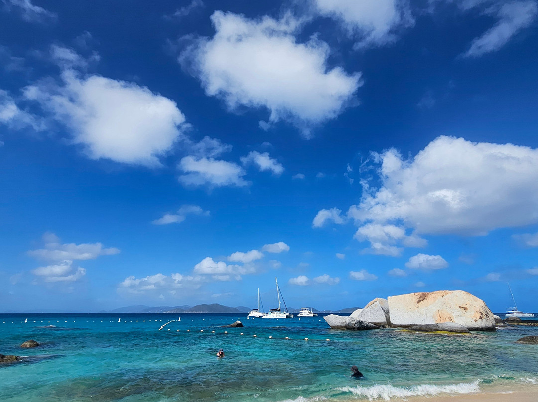 Turquoise Turtle Charters-圣 托马斯必去景点