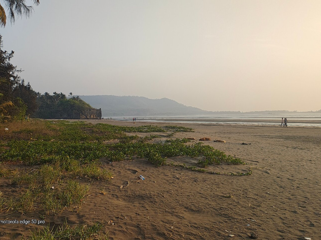 Revdanda Beach Fort景点图片