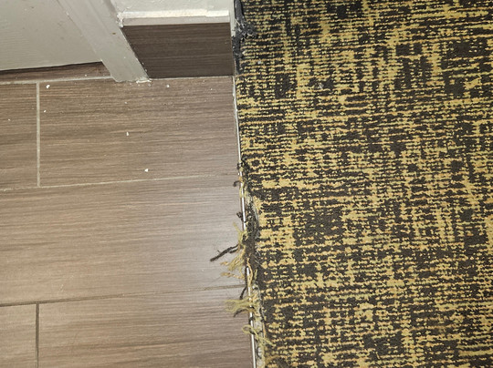 La Quinta Inn & Suites by Wyndham Atlanta Stockbridge主图