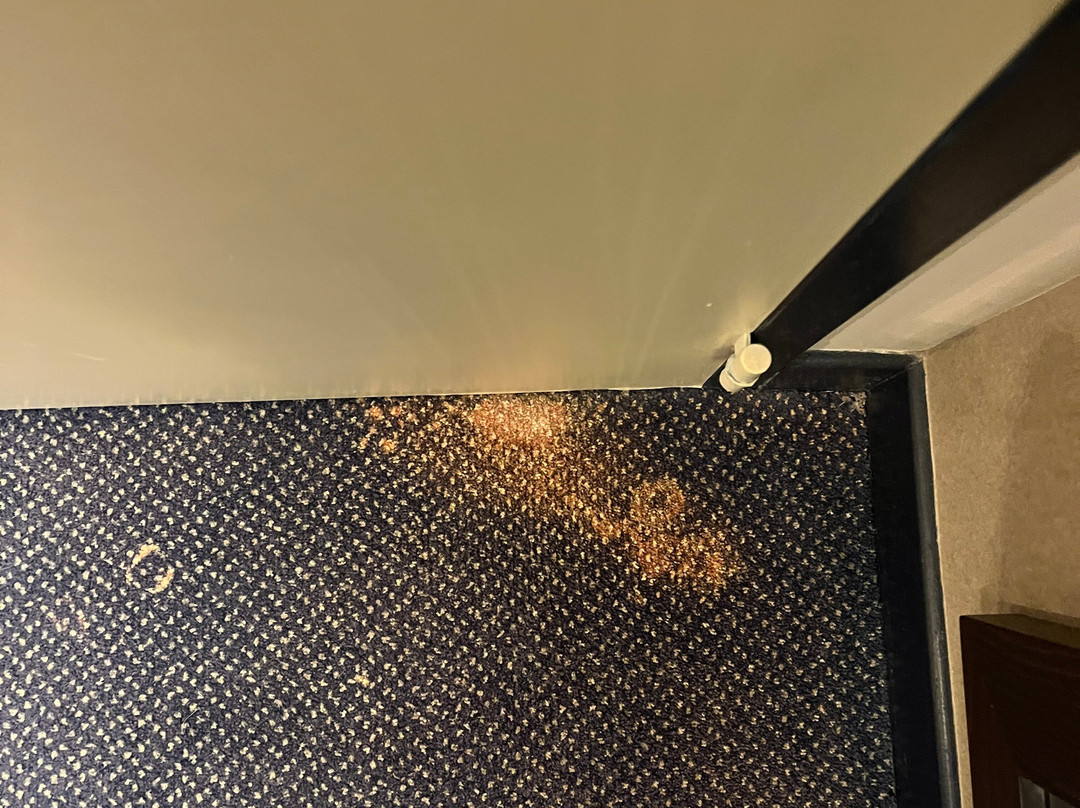 Zenitude Hotel la Valadiere, Ascend Hotel Collection主图