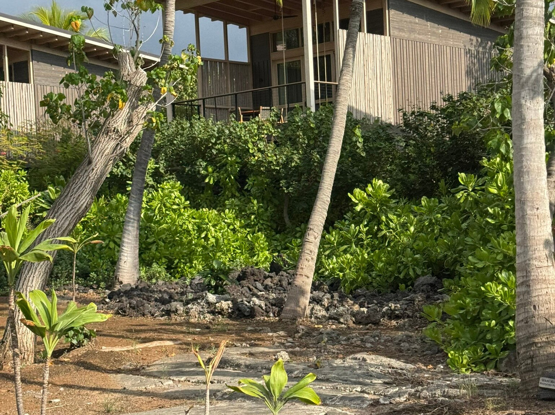 Kona Village, A Rosewood Resort主图