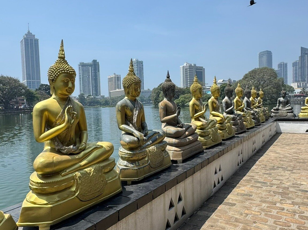 Bob Trails-Matale必去景点