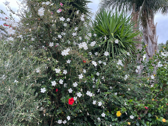 Lumley's Place Guesthouse主图