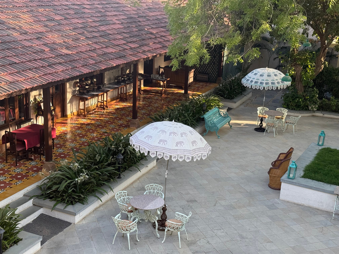 Tree Of Life Darbargadh Dared Gujarat主图