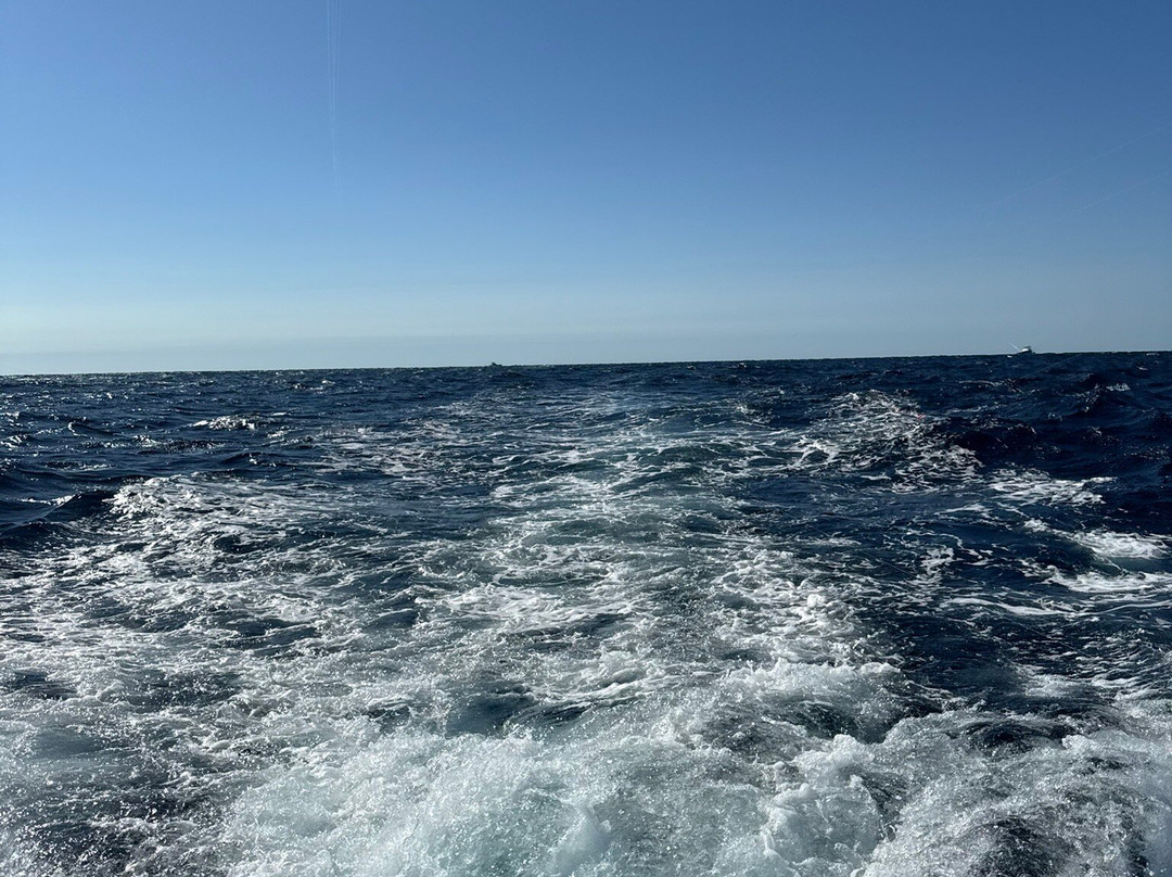 End Game Sportfishing
