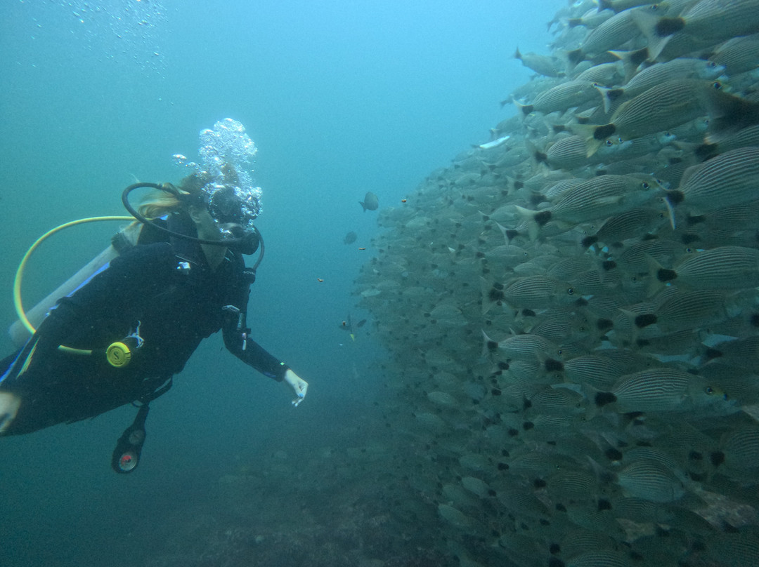 Scuba Tamarindo景点图片