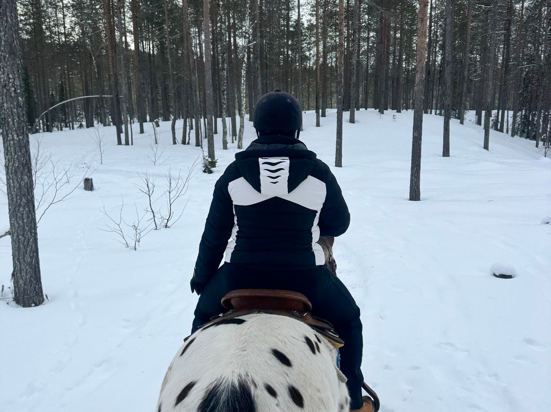 Lucky Ranch-Pyhatunturi必去景点