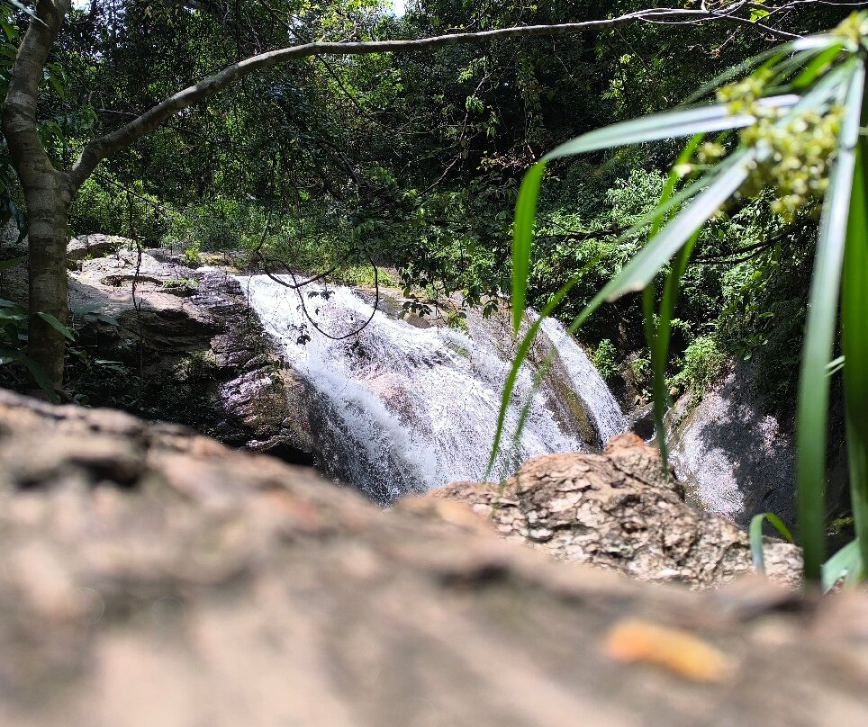 A2Z Tours Sri Lanka-Wellawaya必去景点