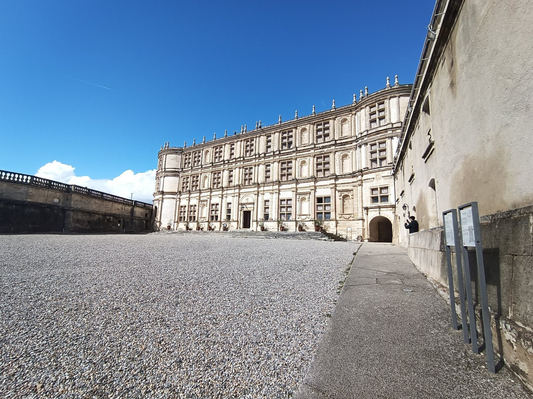 Château de Grignan景点图片