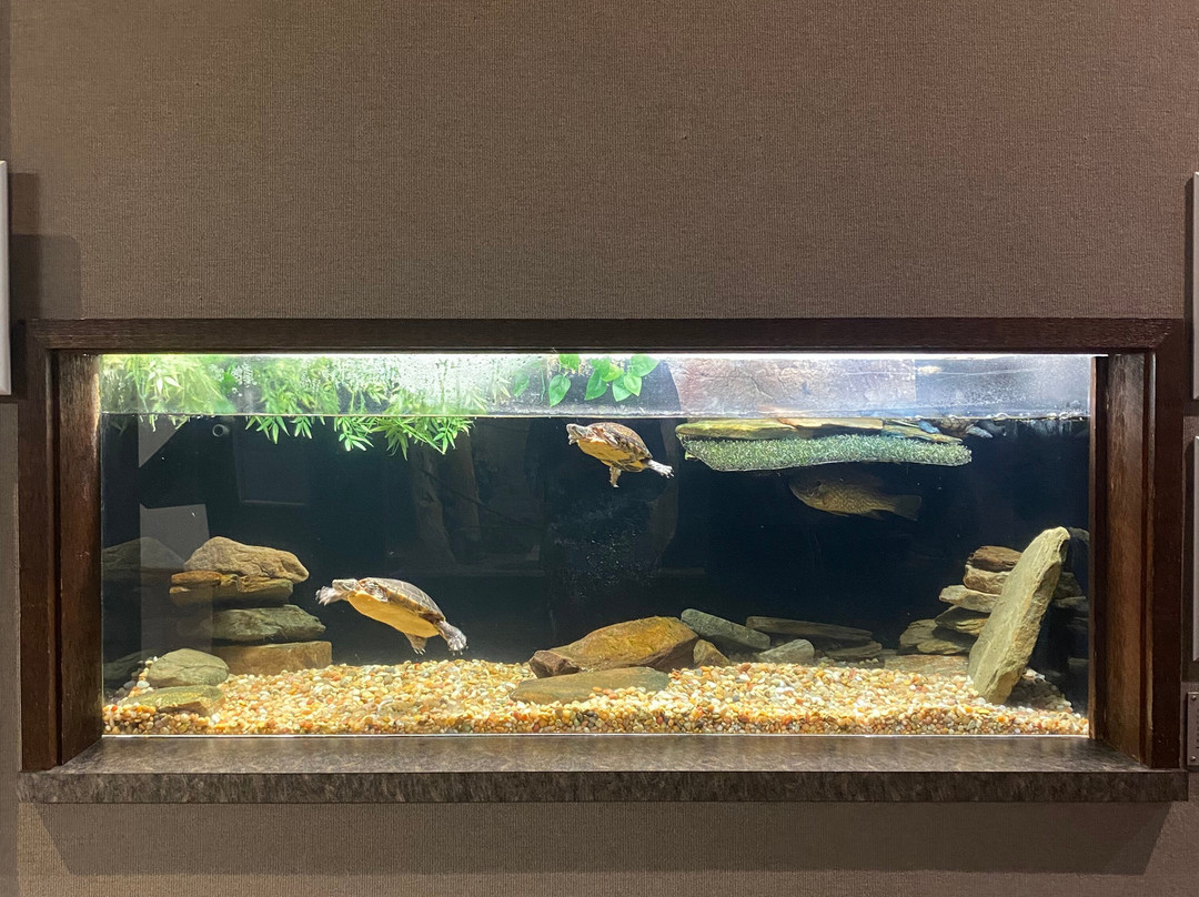 Lake Erie Nature & Science Center-Bay Village必去景点