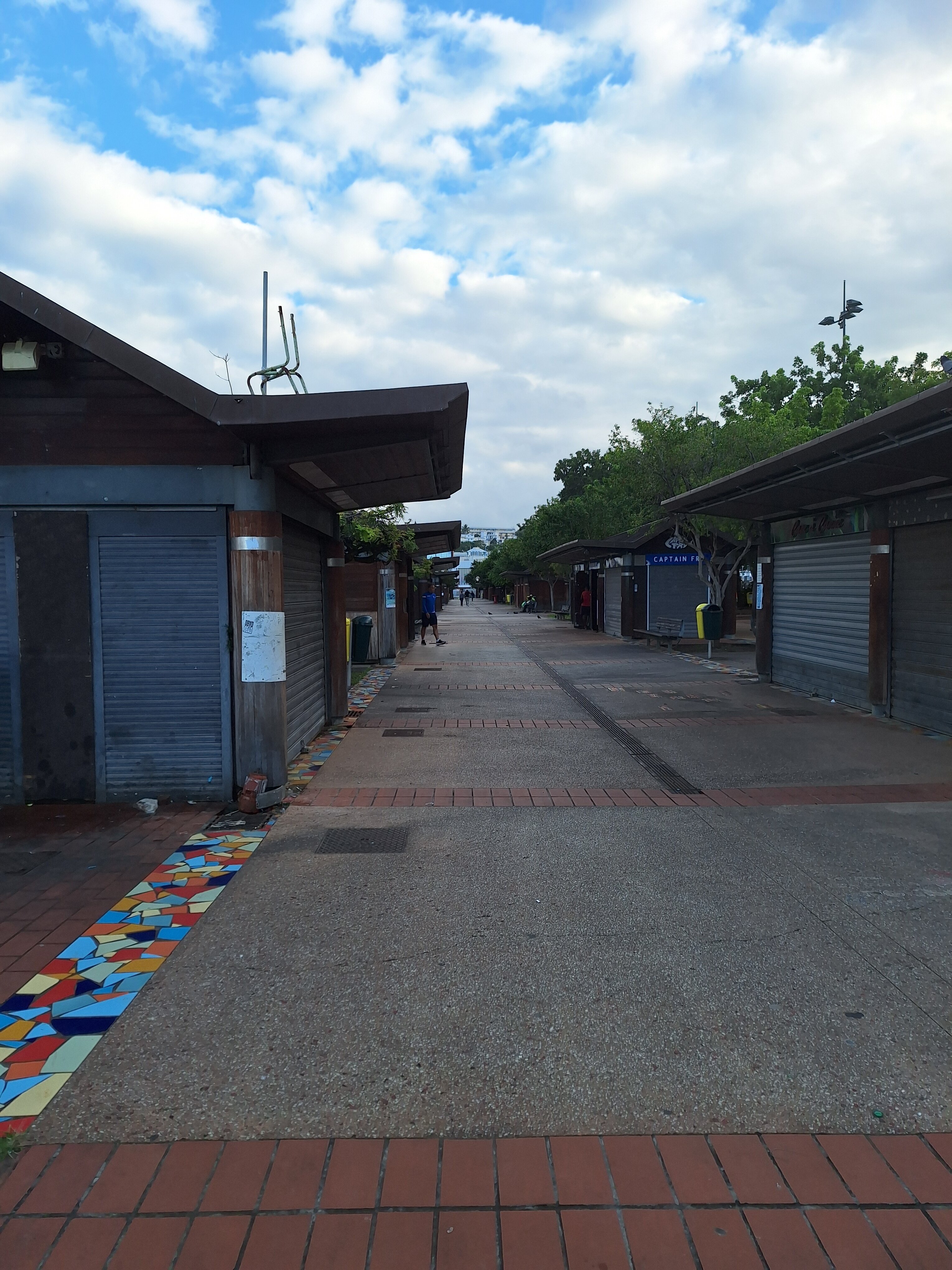 Fort Savane-官方