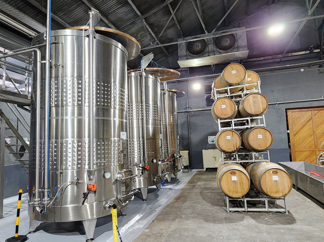 Terrazas de los Andes - Guest House主图