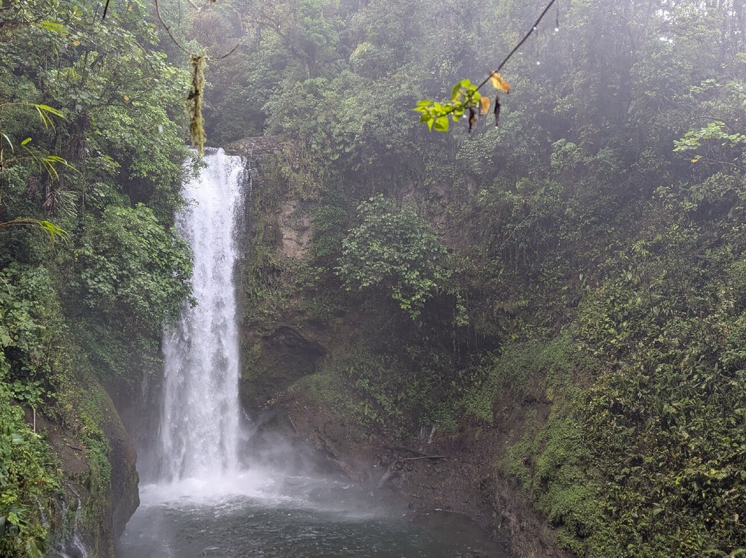 Expediciones Tropicales Day Tours景点图片