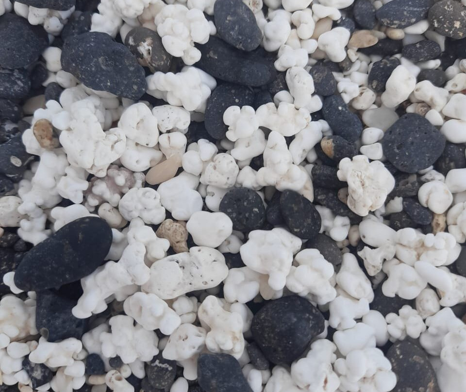 Popcorn Playa景点图片