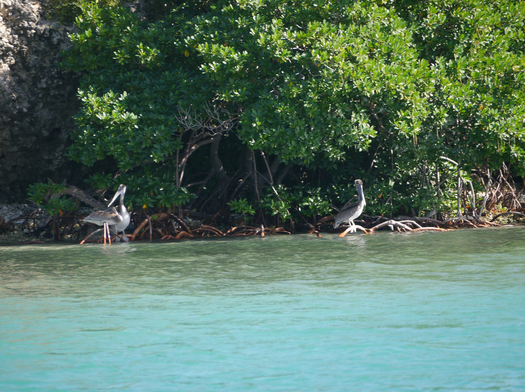 Antigua Nature Tours-圣 约翰必去景点