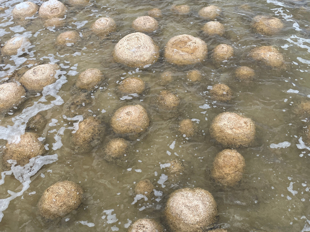 Thrombolites of Lake Clifton景点图片