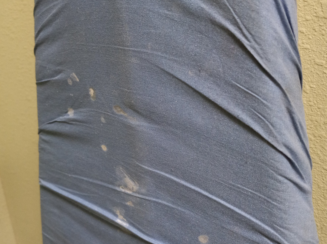 Super 8 by Wyndham Midlothian/Richmond Area主图