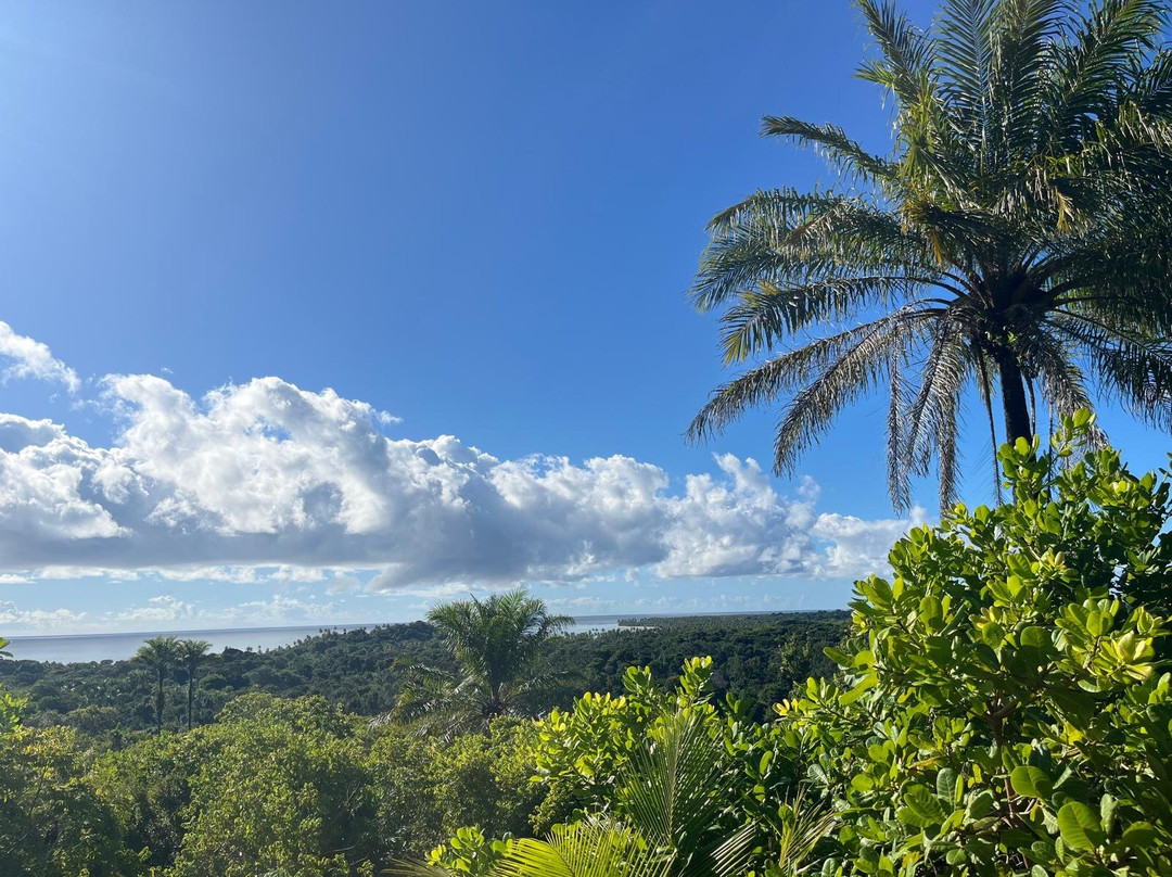 Eco-Pousada Casa Bobo主图