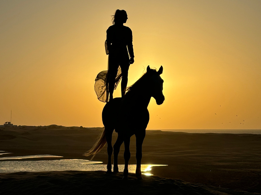 Ocean Ranch Essaouira-索维拉必去景点
