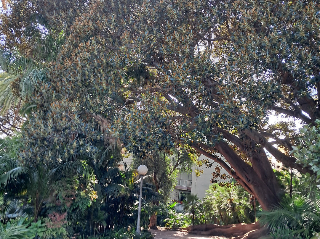 Giardini di Villa Ormond-圣雷莫必去景点