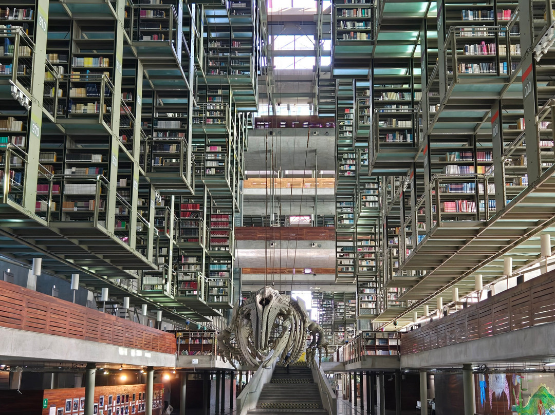 Biblioteca Vasconcelos-墨西哥城必去景点