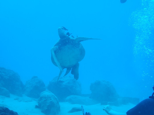 Makai Expeditions-考普雷必去景点