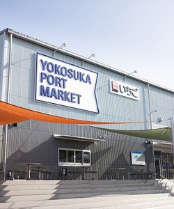 Yokosuka Port Market景点门票图片