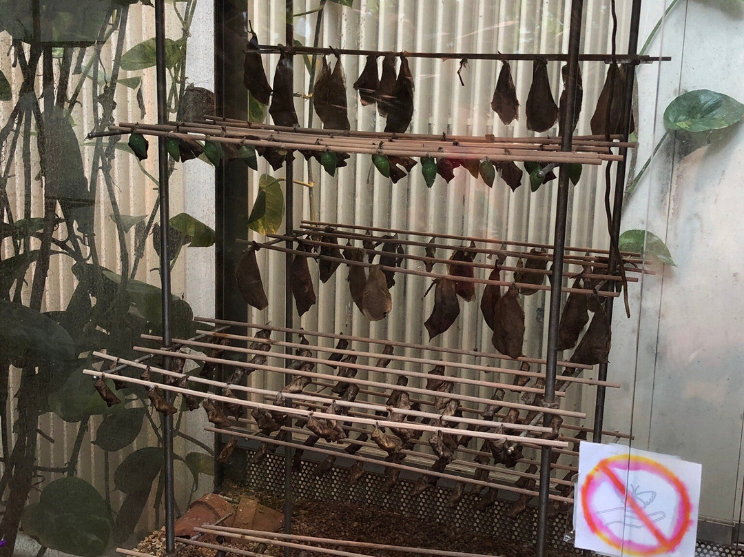 The Butterfly House-维也纳必去景点