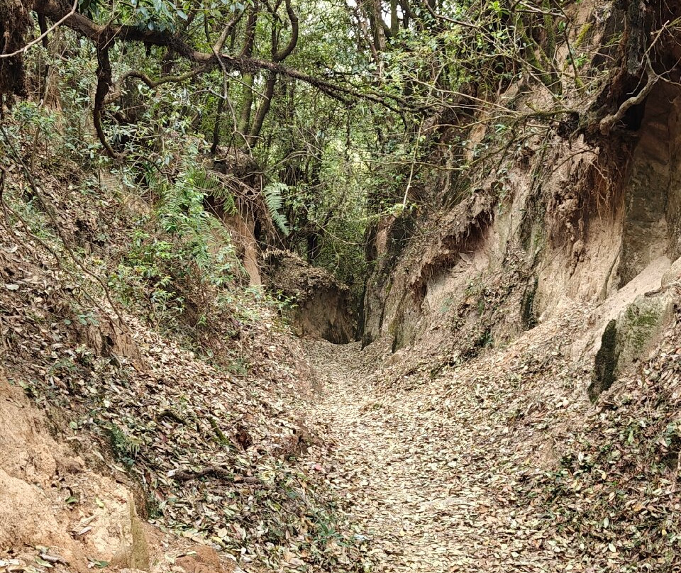 Shivapuri Nagarjun National Park-加德满都必去景点