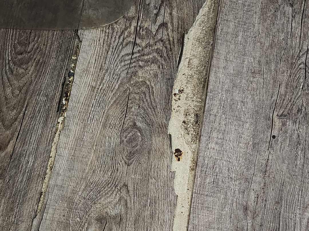 SpringHill Suites by Marriott Kingman Route 66主图