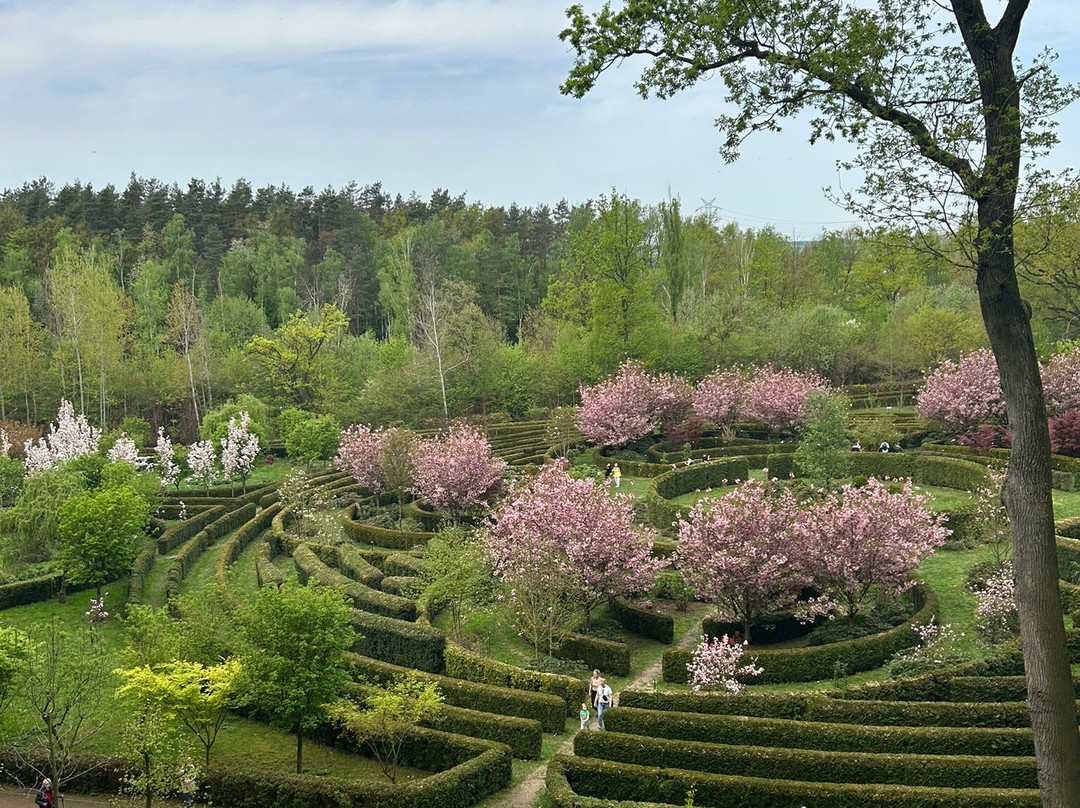 Aboretum Bramy Morawskiej景点图片
