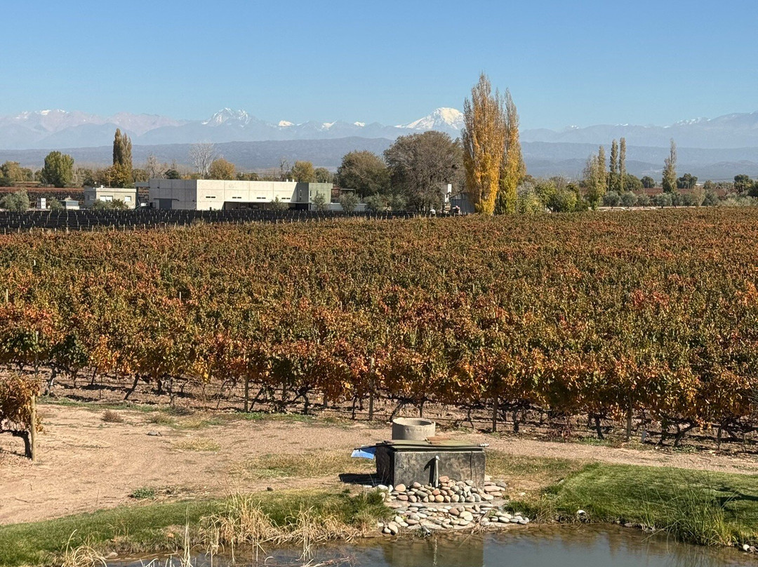 Bodegas Belasco de Baquedano景点图片