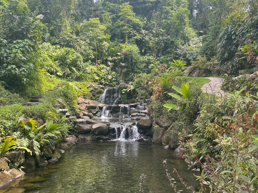 Kurú Natural Springs景点图片