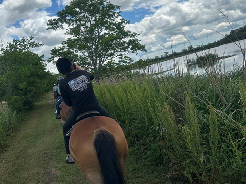 Middleton Place Equestrian Center-查尔斯顿必去景点