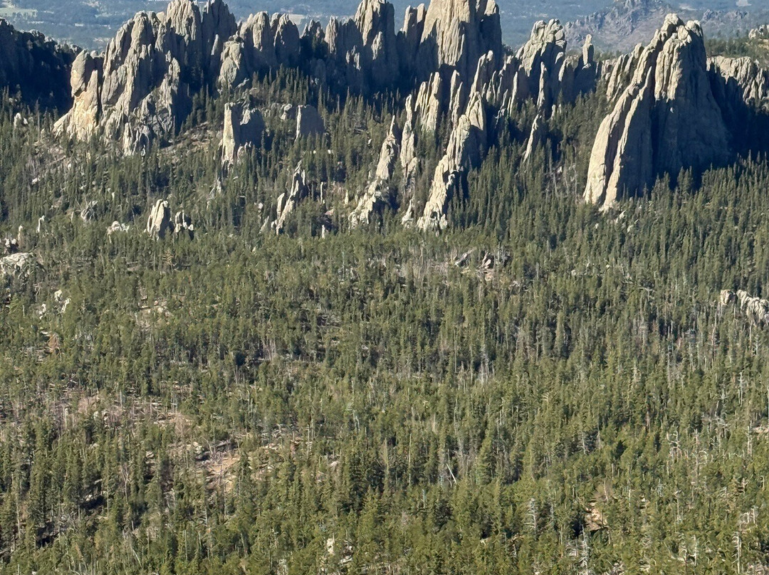 Black Hills Aerial Adventures-卡斯特必去景点