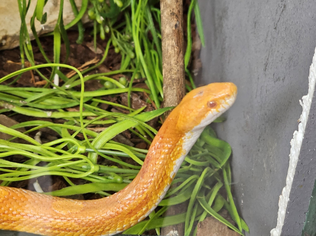 Krazy World Zoo-Algoz必去景点