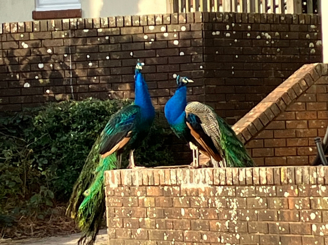 伍德福德桥乡村俱乐部主图