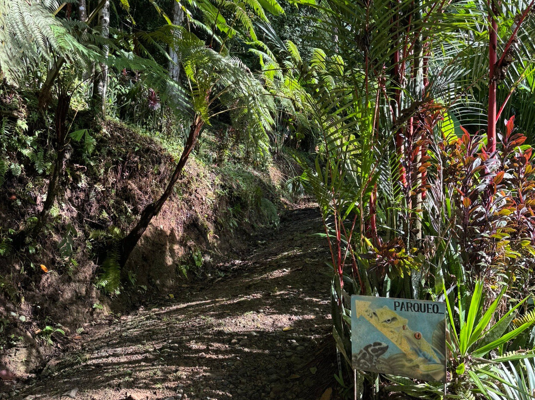 Ave Azul de la Osa-Carate必去景点