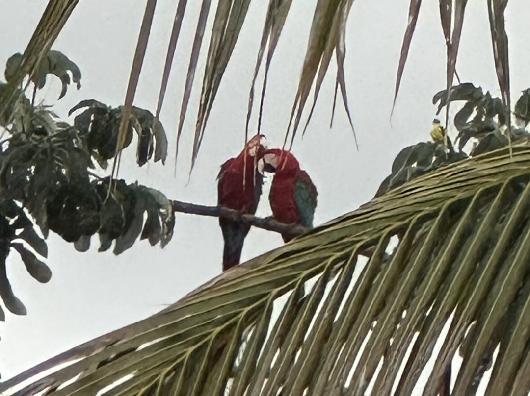 Pousada Chamame主图