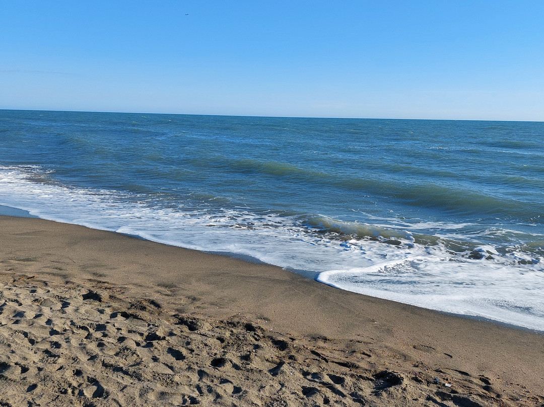 Spiaggia libera Bianca-Lido di Ostia必去景点